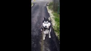 Хозяин за пивом не пойдем. Хватит с тебя