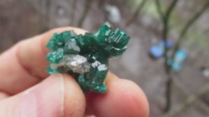 Диопатаз купить