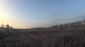 Беретта Урика и вороны