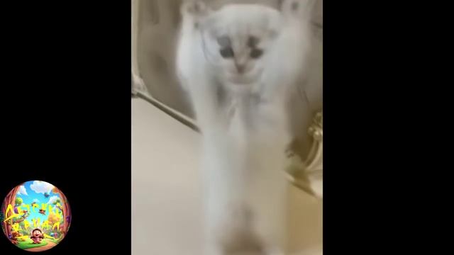 Улучшатель настроения! #7