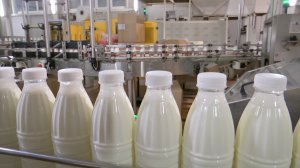 В Саяногорске поздравили работников сельского хозяйства и перерабатывающей промышленности