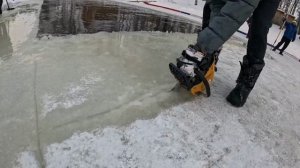 Томские моржи!