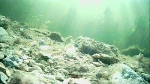 1000004924.mp4Волга гл.1м.24.11.2025г.