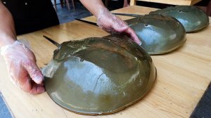 ГИГАНТСКИЙ КРАБ Вьетнамская уличная еда