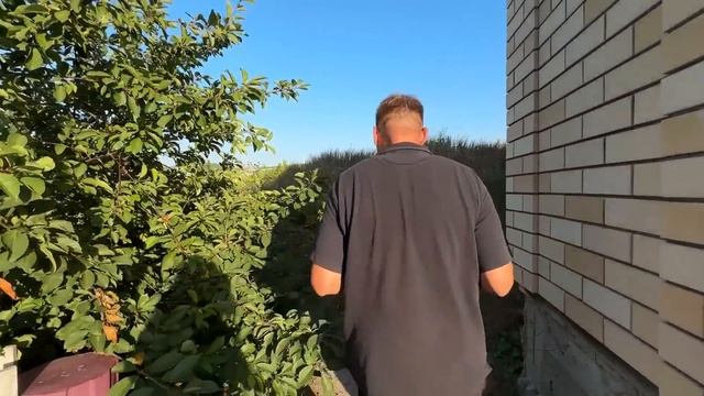 ВЛОГ Едем на море на ЗАКАТ ! Ищем поле с подсолнухами! Мой уровень IQ‼️ смотреть онлайн