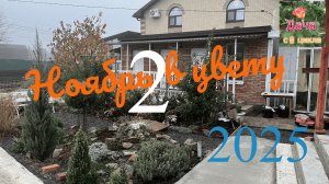 Ноябрь в цвету -2