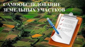 Росреестр по Югре напомнил о самообследовании земельного участка