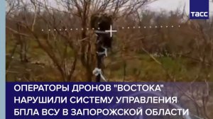 Операторы дронов "Востока" нарушили систему управления БПЛА ВСУ в Запорожской области