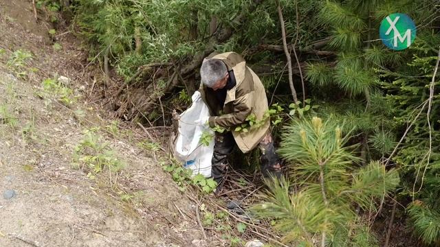 Хантымансийцы могут выбрать главную тему 2026 года в автономном округе