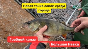 Крупный окунь на Гребном канале и разведка новой точки среди города