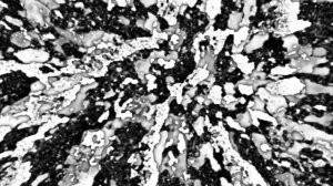 Jonas Stenberg pres. Sunstate - Nightfall (Original Mix)