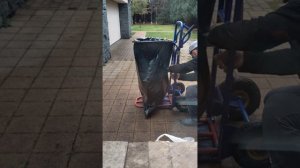 осень золотая осень