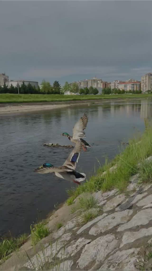 Ниш - третий город в Сербии смотреть онлайн