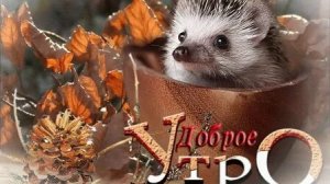 Утро доброе. Музыкальная открытка.