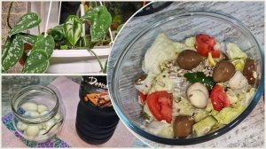 Процесс пошёл! 🌿  Случайно повезло 🌸🎁 Деликатес из перепелиных яиц.