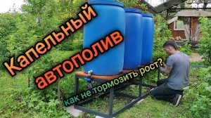 Капельный автополив из бочек.