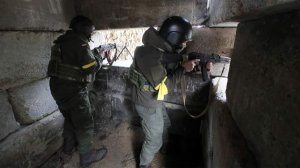 Стало известно о всего 10 оставшихся в 95-й бригаде ВСУ штурмовиках