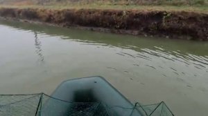 Всё Пропало,  Раки умерли , Спускаем ставок сезон 2025 ...