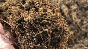 Вирджиния Голд делаем мешку