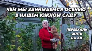 1029 Жизнь на пенсии/Наш осенний сад на юге/Изготовление тротуарной плитки своими руками