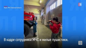 В Тюмени сотрудники МЧС устроили необычную фотосессию
