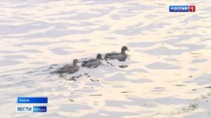 ВЕСТИ КРЫМ: выпуск 24.11.2025 21:10