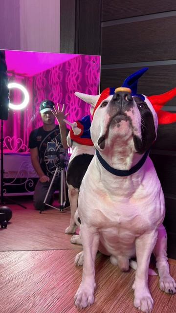 Тао понимает счет. смотреть онлайн