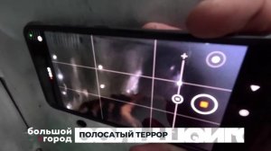 ПОЛОСАТЫЙ ТЕРРОР. Большой город 24/11/2025