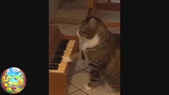 Улучшатель настроения! #3