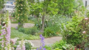 САДЫ ЯПОНИИ ЭЛЕГАНТНЫЕ САДЫС НЕЖНЫМИ ОТТЕНКАМИ  ЗАРИСОВКИ