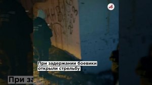 Гнить в тюрьме не придётся. Террористов «обнулили» на Алтае