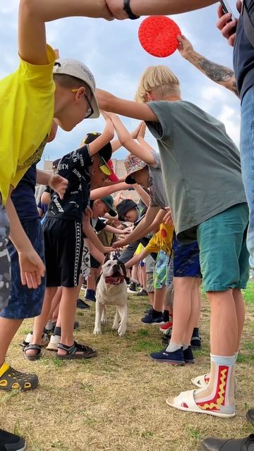 Игра «тоннель». смотреть онлайн