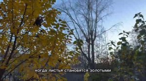 Россия. Иваново. Политех.