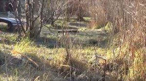 РЫБОЛОВ ИВАНОВИЧ Лёд встаёт [get.gt]