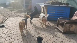 А вот и долгожданное солнышко! На улице сегодня настоящая весна ! Светлый лучик в нашем тёмном царст