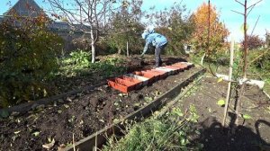 Влог от 09.10.2021