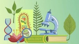 Биология  8 класс. Сон и сновидения.