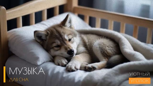 Музыка для сна - БЫСТРЫ СОН ЗА 6 МИНУТ - волшебная музыка для глубокого и расслабляющего сна