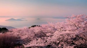 Bed wars stream | Mineblaze