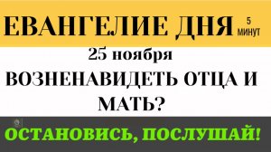 25 ноября Евангелие дня Неужели Христос приказал ненавидеть родителей (Лк 1425-35)