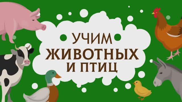 Слова для детей. Учимся говорить по картинкам