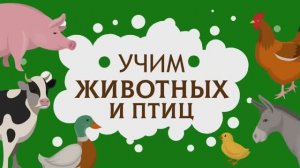 Слова для детей. Учимся говорить по картинкам