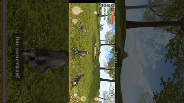 SVID_20251124_225141_1.mp4