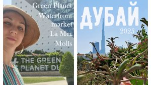 Дубай 2025 | Green Planet, заброшенный пляж La Mer, ресторан на рыбном рынке и торговые центры