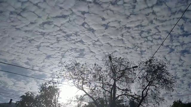 Красивые моменты., Цветы 🌸🌺🌻🌹🌷🌼💐., Облака. Да просто 👉жизнь без прекрас..