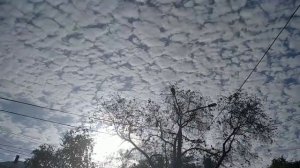 Красивые моменты., Цветы 🌸🌺🌻🌹🌷🌼💐., Облака. Да просто 👉жизнь без прекрас..