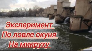 РЫБАЛКА НА СПИННИНГ ЭКСПЕРИМЕНТ!