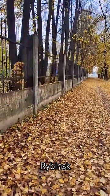 Рыбинск. У стадиона Сатурн