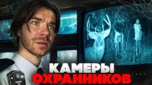 Видео с КАМЕРЫ ОХРАННИКА | Сняла камера в ЛЕСУ | bolduriev stories