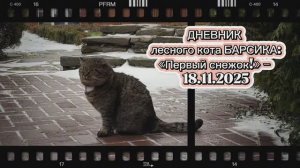 ДНЕВНИК лесного кота Барсика: «Первый снежок!»  - 18 ноября 2025 года